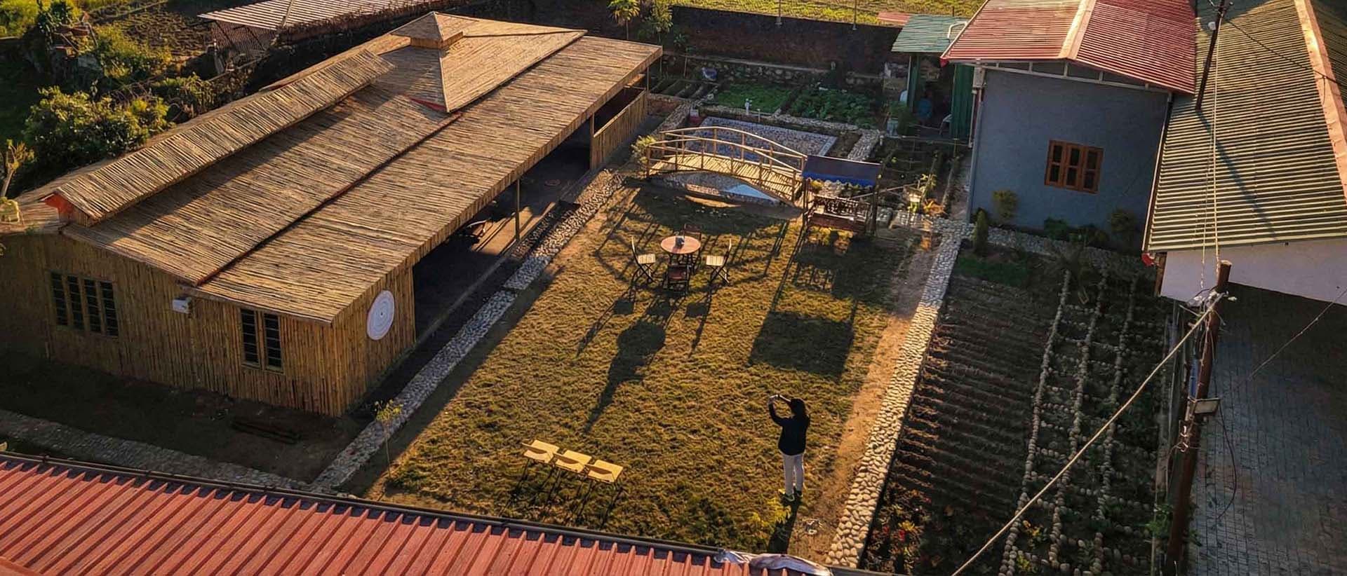 Nature Immersion & Forest Bathing